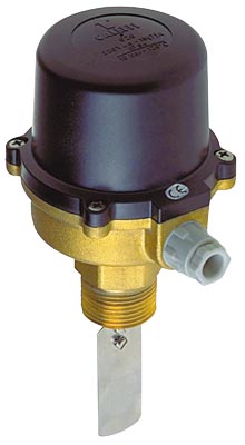 Contrôleur de débit à palette Flussostat -C05897